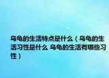 烏龜?shù)纳钐攸c(diǎn)是什么（烏龜?shù)纳盍?xí)性是什么 烏龜?shù)纳钣心男┝?xí)性）