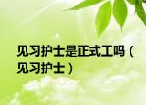 見習護士是正式工嗎（見習護士）
