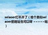 selaoer打不開了（給個類似selaoer的地址也可以呀 ~~~~~絀）