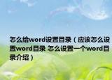 怎么給word設(shè)置目錄（應(yīng)該怎么設(shè)置word目錄 怎么設(shè)置一個(gè)word目錄介紹）