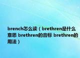 brench怎么讀（brethren是什么意思 brethren的音標(biāo) brethren的用法）