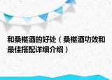 和桑椹酒的好處（桑椹酒功效和最佳搭配詳細(xì)介紹）