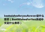 bestwishesforyouforever是什么意思（BestWishesForYou譯成中文是什么意思）