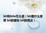 bit和bite怎么讀（bit是什么意思 bit的音標(biāo) bit的用法）