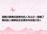 接觸過健康碼是黃色的人怎么辦（接觸了黃碼的人健康碼會(huì)變黃色嗎詳細(xì)介紹）