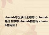 cherish怎么讀什么意思（cherish是什么意思 cherish的音標 cherish的用法）