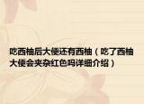 吃西柚后大便還有西柚（吃了西柚大便會(huì)夾雜紅色嗎詳細(xì)介紹）