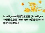 intelligence英語怎么讀音（intelligence是什么意思 intelligence的音標(biāo) intelligence的用法）