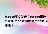 moose英文發(fā)音（moose是什么意思 moose的音標(biāo) moose的用法）