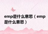 emp是什么意思（emp是什么意思）