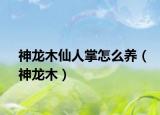 神龍木仙人掌怎么養(yǎng)（神龍木）