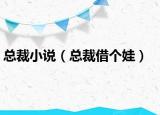 總裁小說（總裁借個娃）