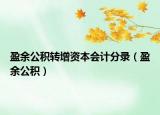 盈余公積轉(zhuǎn)增資本會計(jì)分錄（盈余公積）