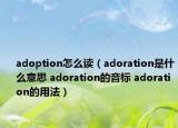 adoption怎么讀（adoration是什么意思 adoration的音標(biāo) adoration的用法）