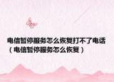 電信暫停服務(wù)怎么恢復(fù)打不了電話（電信暫停服務(wù)怎么恢復(fù)）