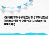 如何使用蘋果手機錢包付款（蘋果錢包如何向商家付款 蘋果錢包怎么向商家付款教學介紹）