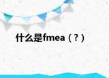 什么是fmea（?）