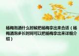 楊梅泡酒什么時候把楊梅拿出來合適（楊梅酒泡多長時間可以把楊梅拿出來詳細(xì)介紹）