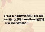 broadbandits什么意思（broadband是什么意思 broadband的音標(biāo) broadband的用法）