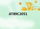 AT89C2051