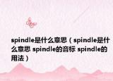 spindle是什么意思（spindle是什么意思 spindle的音標(biāo) spindle的用法）