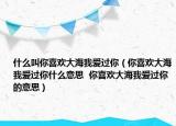 什么叫你喜歡大海我愛過你（你喜歡大海我愛過你什么意思  你喜歡大海我愛過你的意思）