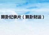 算卦紀錄片（算卦財運）