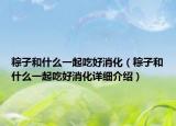 粽子和什么一起吃好消化（粽子和什么一起吃好消化詳細(xì)介紹）