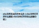 xlsx文件無法打開怎么辦（xlsx文件打不開什么原因 xlsx文件打不開怎么回事介紹）