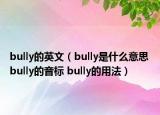 bully的英文（bully是什么意思 bully的音標(biāo) bully的用法）