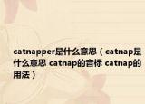 catnapper是什么意思（catnap是什么意思 catnap的音標(biāo) catnap的用法）