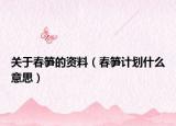 關(guān)于春筍的資料（春筍計劃什么意思）