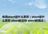 單詞sheet是什么意思（sheet是什么意思 sheet的音標(biāo) sheet的用法）