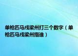 單槍匹馬戌梁州打三個數(shù)字（單槍匹馬戌梁州指誰）