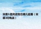 突襲3:勝利進(jìn)軍在哪兒能看（突襲3閃電戰(zhàn)）