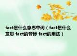 fact是什么意思單詞（fact是什么意思 fact的音標 fact的用法）