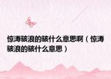 驚濤駭浪的駭什么意思啊（驚濤駭浪的駭什么意思）