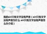 我的siri只有文字沒有聲音（siri只有文字沒有聲音為什么 siri只有文字沒有聲音怎么辦介紹）