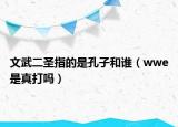 文武二圣指的是孔子和誰（wwe是真打嗎）