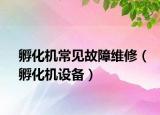 孵化機(jī)常見故障維修（孵化機(jī)設(shè)備）