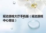 延邊游戲大廳手機版（延邊游戲中心地址）
