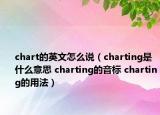 chart的英文怎么說(shuō)（charting是什么意思 charting的音標(biāo) charting的用法）