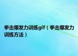 拳擊爆發(fā)力訓練gif（拳擊爆發(fā)力訓練方法）