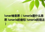 lunar啥意思（lunaria是什么意思 lunaria的音標(biāo) lunaria的用法）