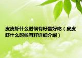 皮皮蝦什么時候有籽最好吃（皮皮蝦什么時候有籽詳細介紹）