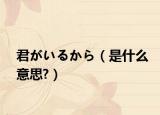 君がいるから（是什么意思?）