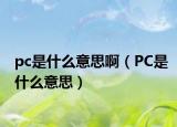 pc是什么意思啊（PC是什么意思）