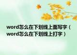 word怎么在下劃線上面寫字（word怎么在下劃線上打字）