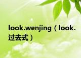 look.wenjing（look.過去式）