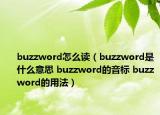 buzzword怎么讀（buzzword是什么意思 buzzword的音標(biāo) buzzword的用法）